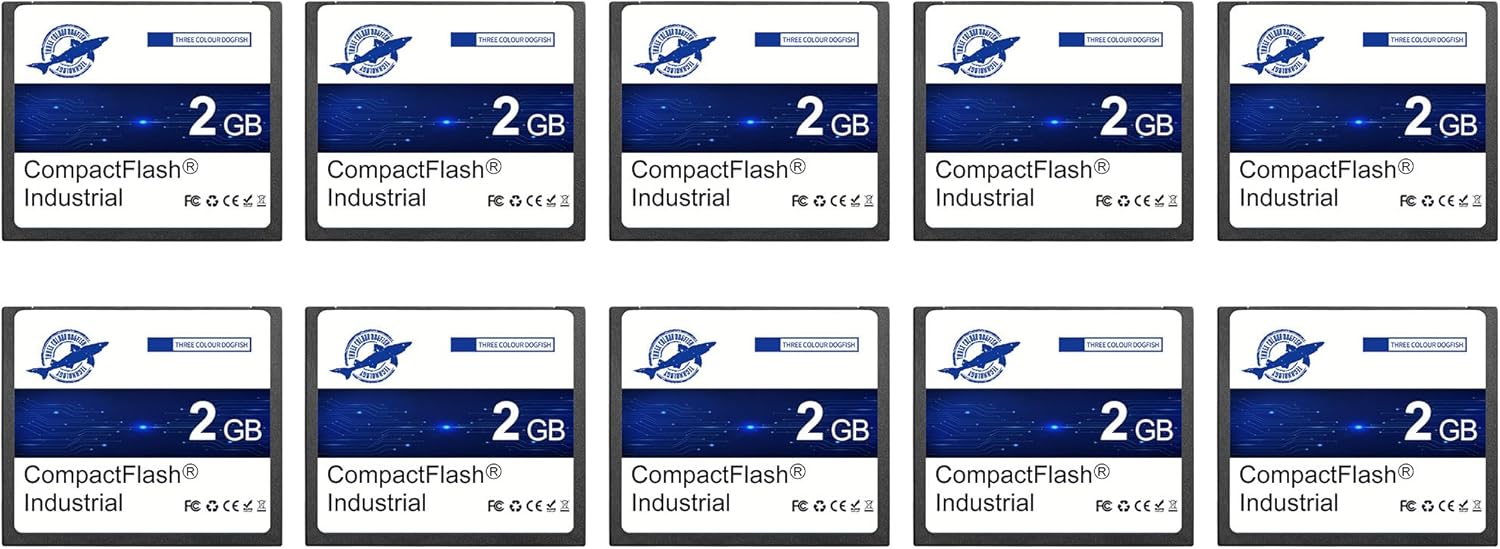 Dogfish Compact Flash Memory Card 2GB 10PACK CF Type I for Industrial Equipment and Digital Camera Old Model