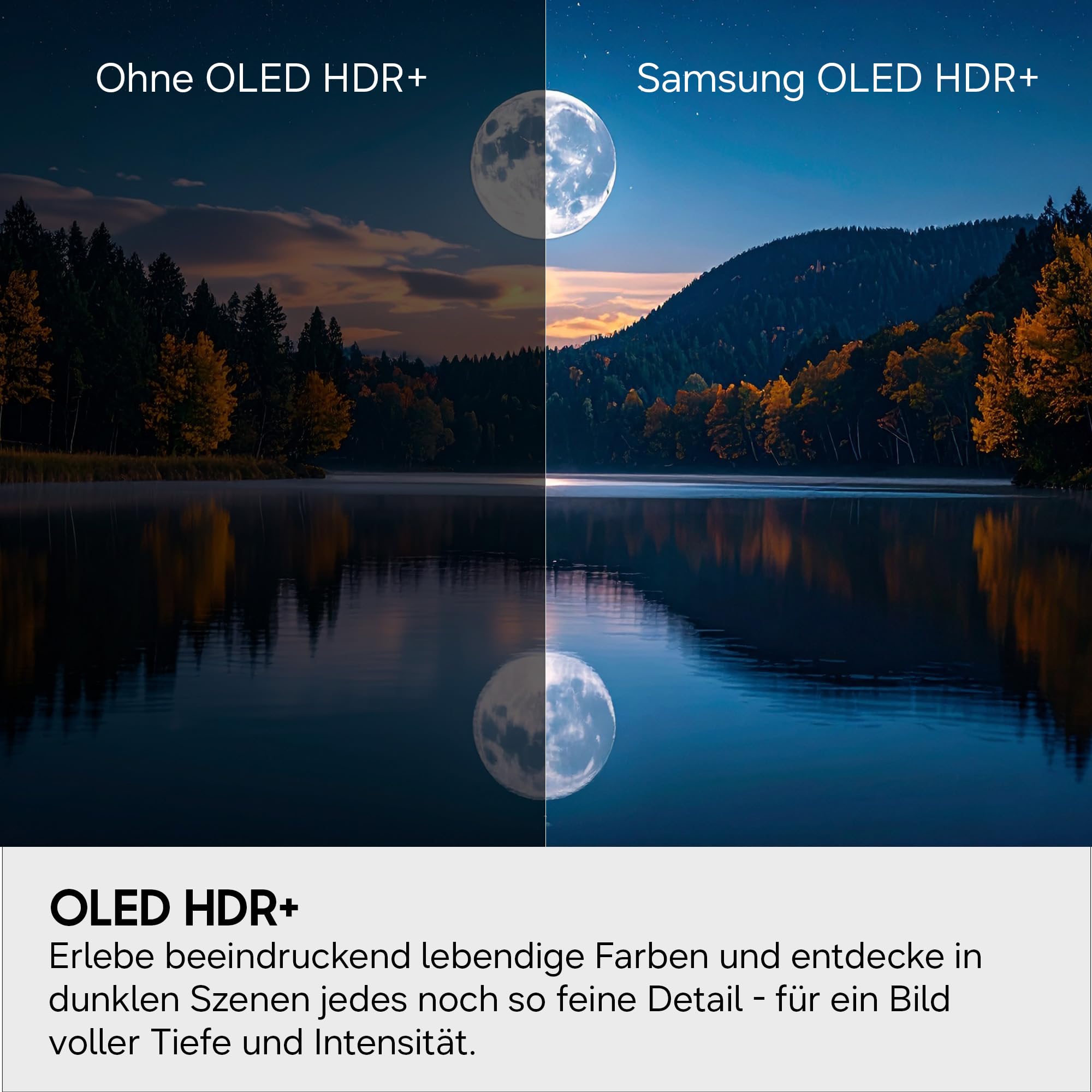 Samsung OLED 4K S90F 65 Zoll (163 cm), UHD Fernseher, Optimiert für Fussball und Gaming, NQ4 AI Gen3 Prozessor, OLED HDR+, 4K Upscaling Pro, Dolby Atmos, Motion Xcelerator, Samsung Vision AI Smart TV