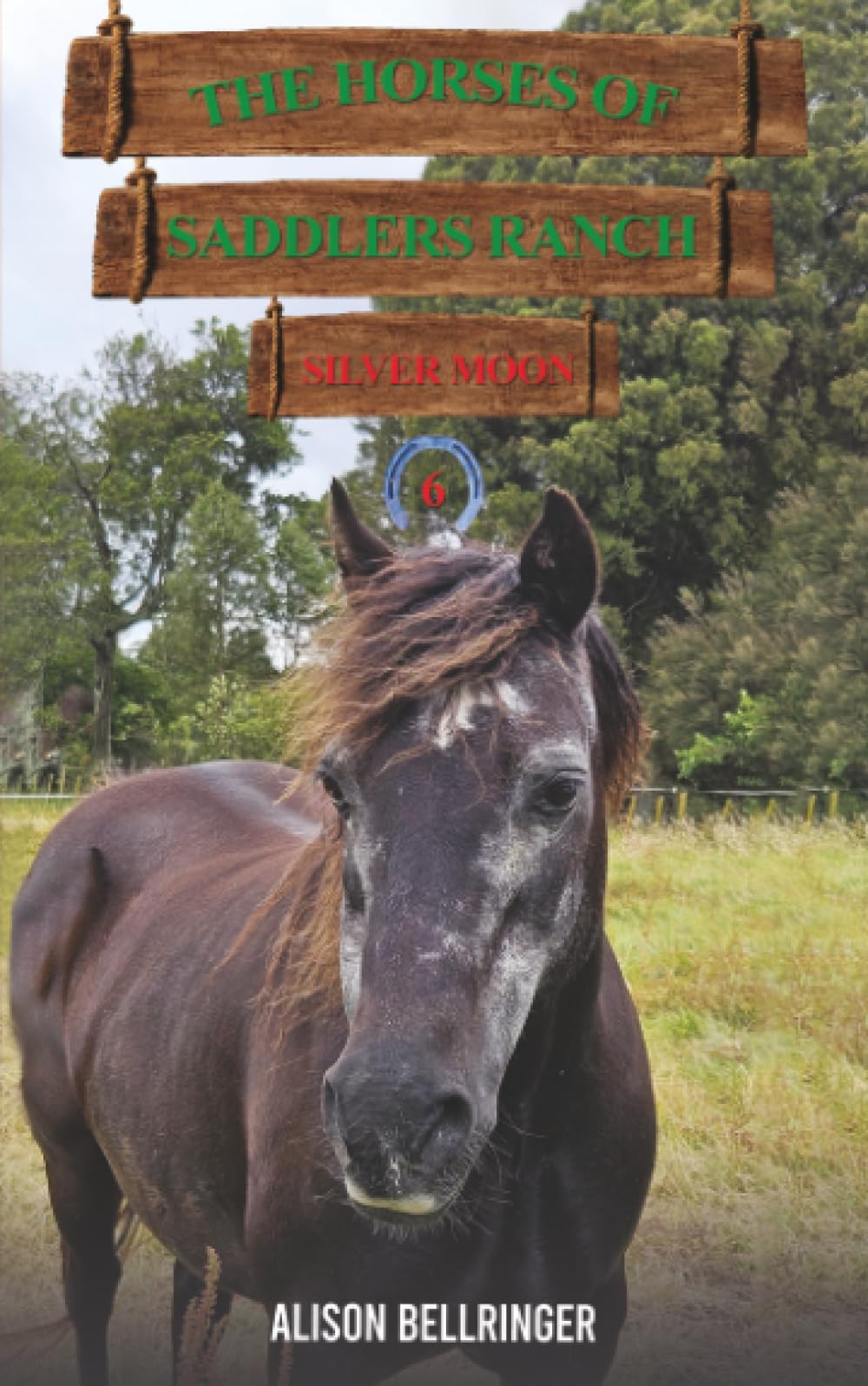 Austin Macauley Publishers Silver The Horses Of Saddlers Ranch: Moon: Book Six