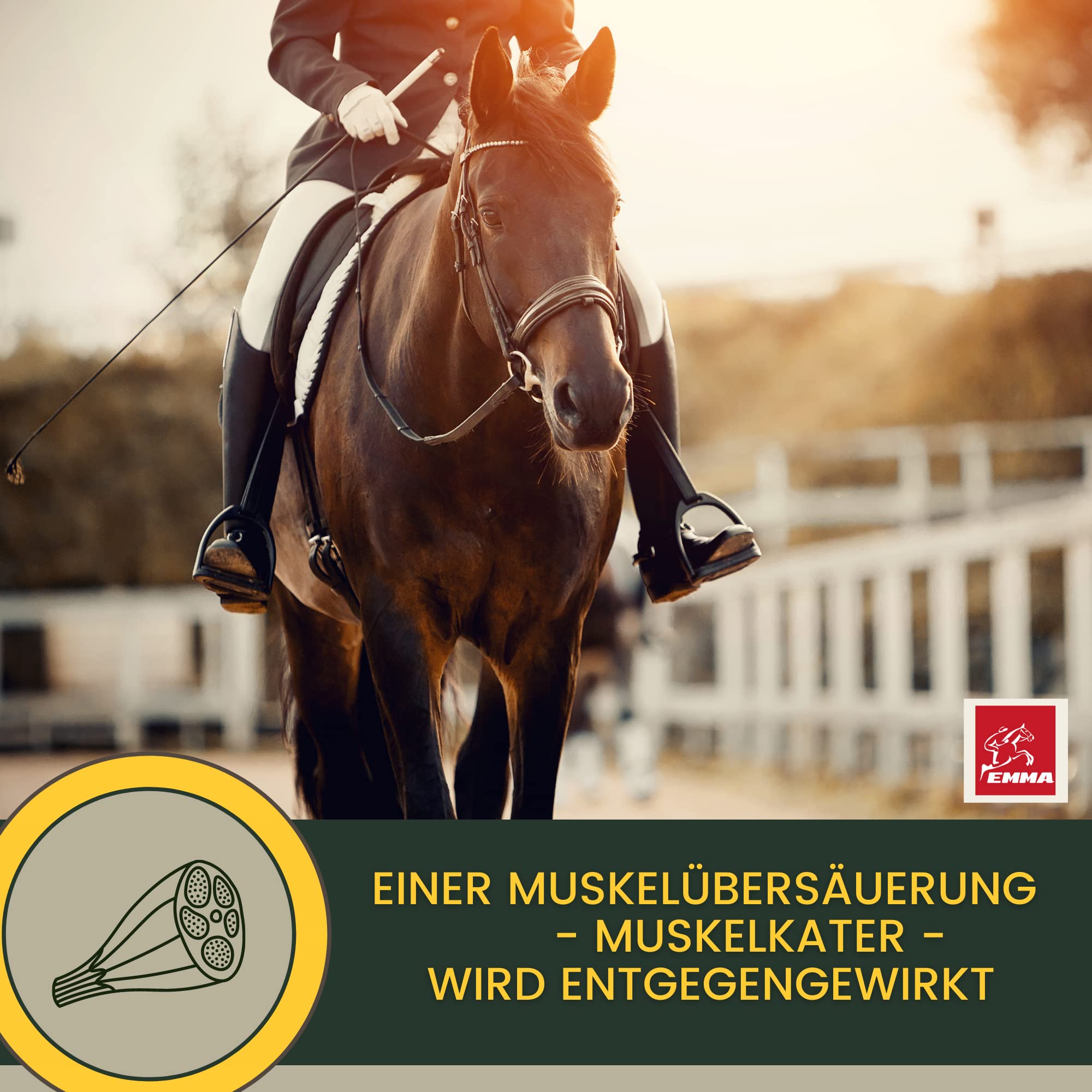 Pasta vitamínica para Caballos Aminoácidos Caballo Amino Vitamina E Levadura de Cerveza Energía Alimento reconstituyente para músculos doloridos Regeneración Rendimiento Muscular Musculación 3 * 30ml