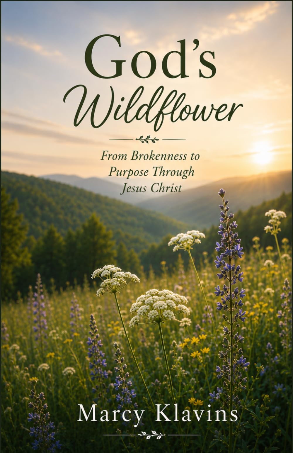God’s Wildflower: From Brokenness to Purpose Through Jesus Christ