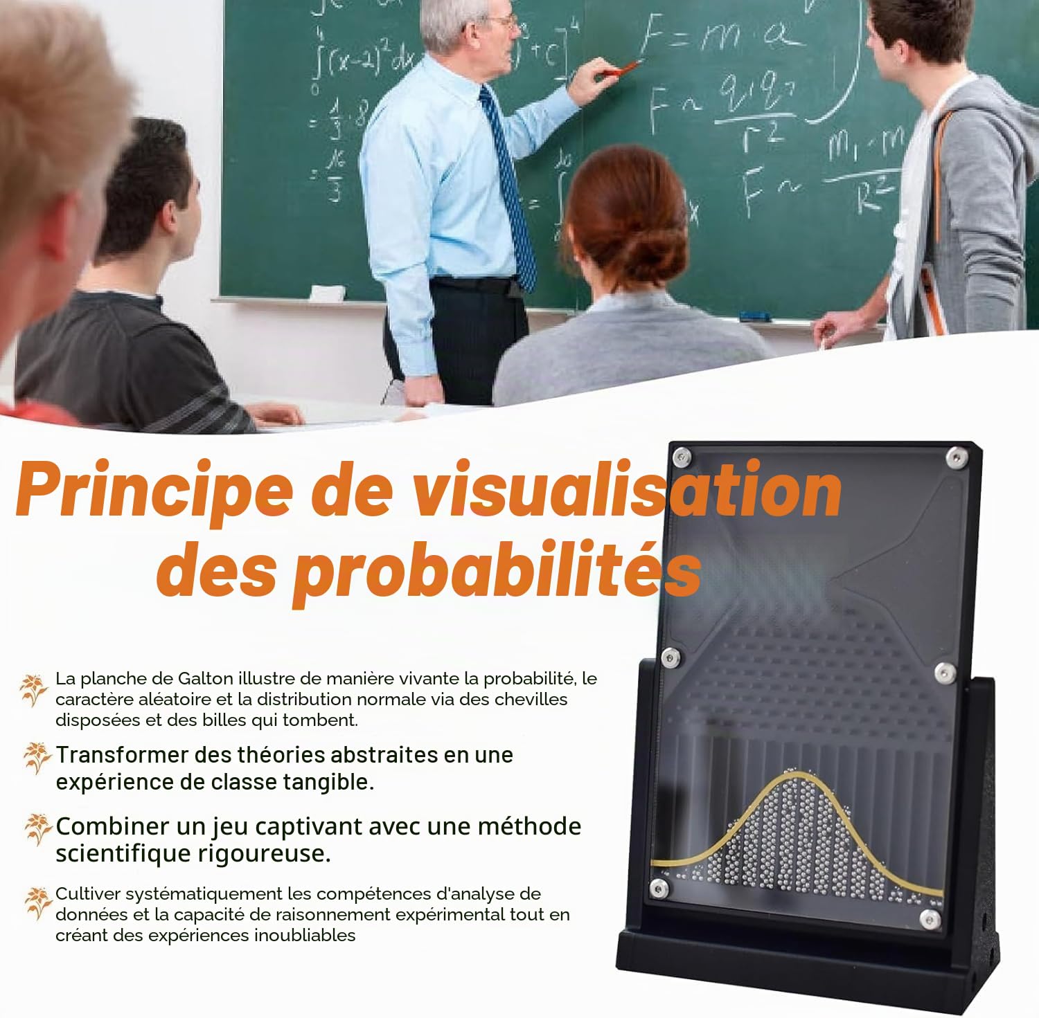 Planche De Galton 12 X 18 Cm, Modèle Mathématique De Distribution Normale, Outil Pédagogique De Laboratoire De Physique, Jouet De Bureau, For Les Enseignants Et Les Élèves