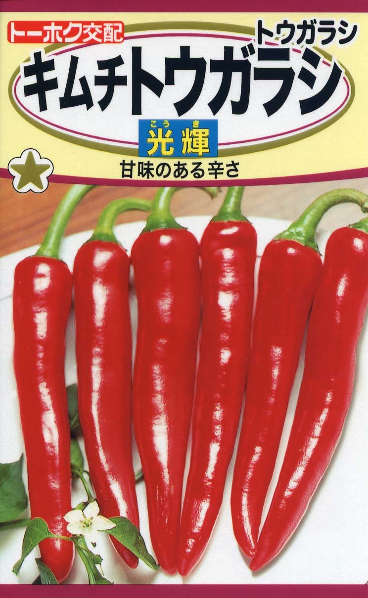 とうがらし 唐辛子 トウガラシ キムチ ホット HOT 大型オブジェ 店舗装飾 Amazon | 株式会社トーホク キムチトウガラシ 光輝 04921 | 野菜