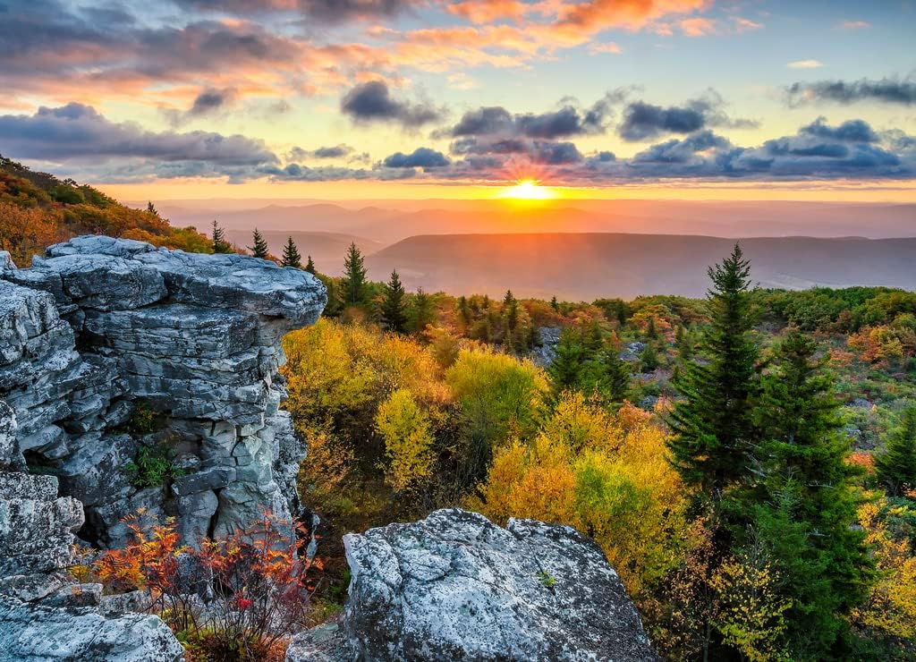 Noah Jigsaw Puzzle Scenic Sunrise, Dolly Sods, West Virginia 1000 Pieces