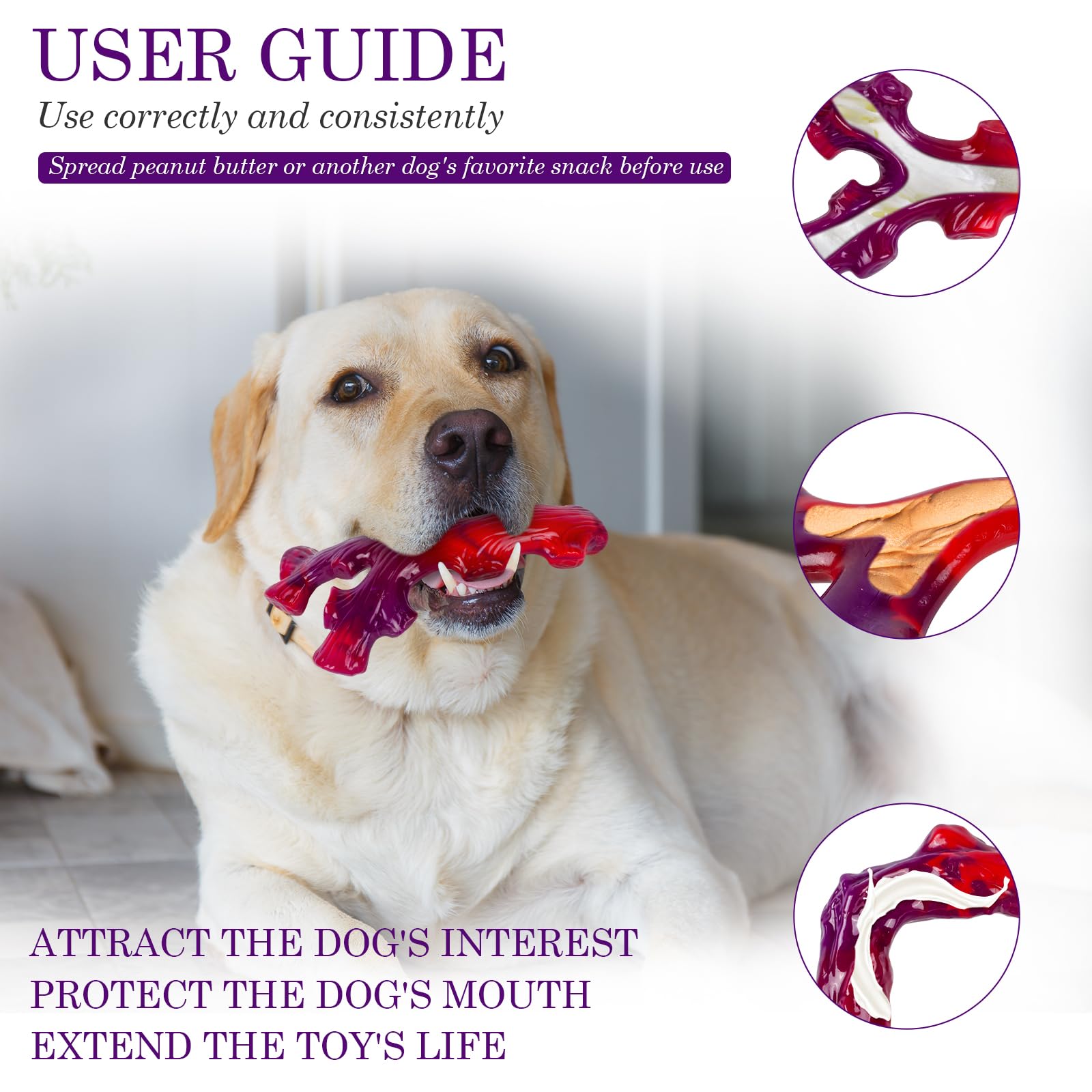 Frienhund Lot de 6 jouets indestructibles pour chiens de grande race : jouets pour chiens à mâcher agressifs, os à mâcher en nylon pour chiens de grande taille, chien, saveur de bœuf irrésistible