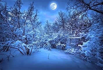 Amazon Com Leowefowa 7x5ft Christmas Backdrop Vinyl Winter Photography Background Xmas Snow Covered Landscape Shining Moon Night Winter Forest Trees Happy New Year Kids Adult Potrait Shoot Photo Studio Props Camera