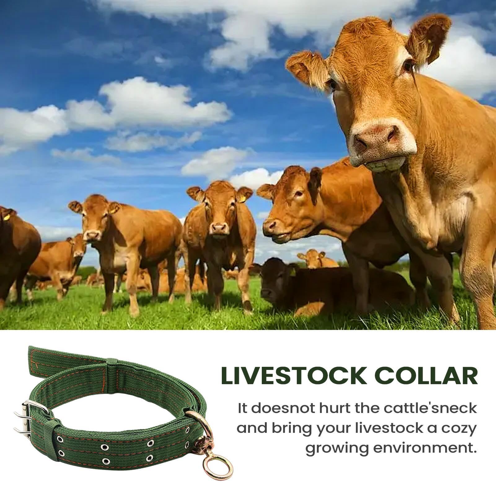 Collier Pour Chèvre | Collier Pour Cheval Et Mouton | Bande De Traction Abrasion Résistante Pour Petit Animal De Ferme Veau Vache | Pour Alimentation Transport Élevage Pâturage