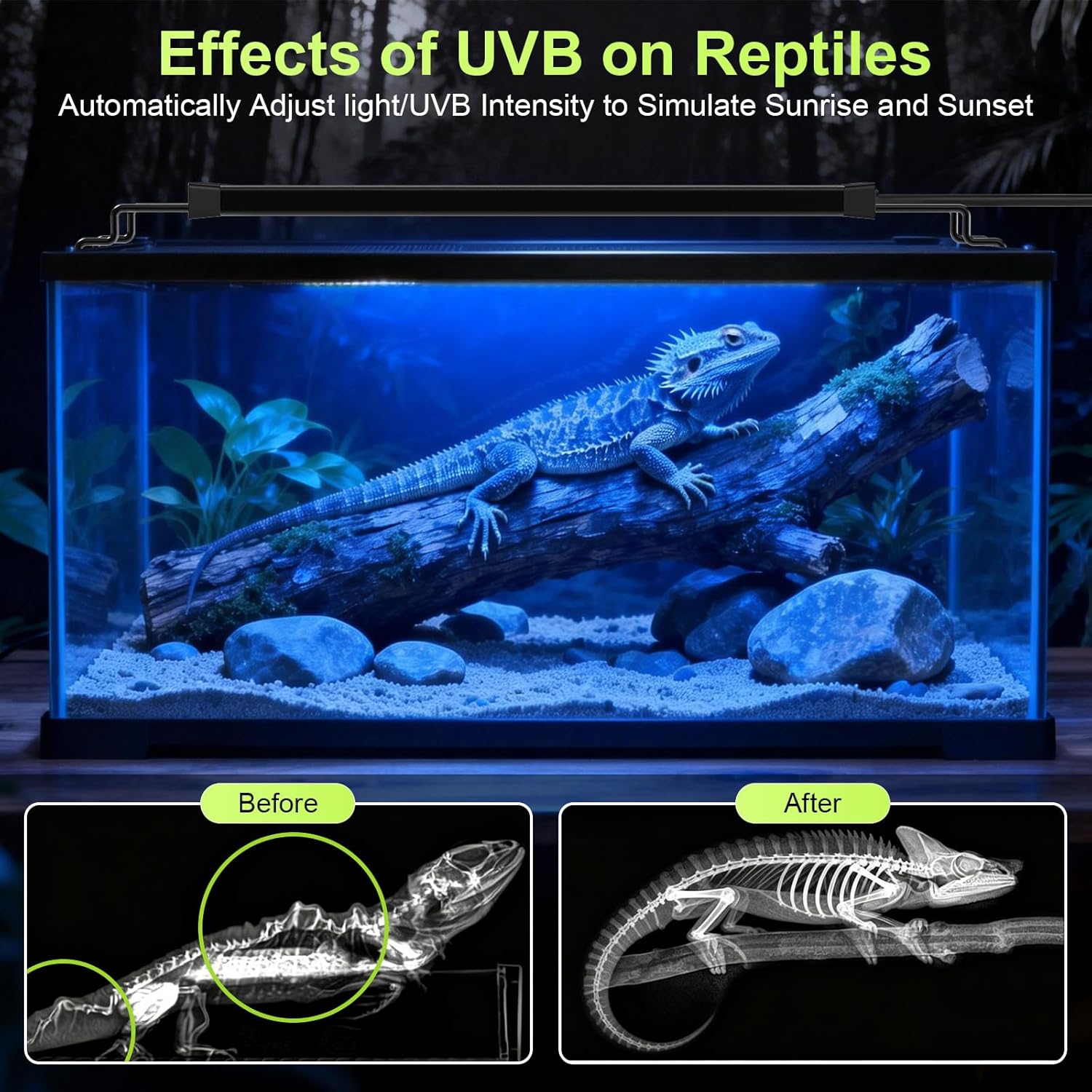 8W LED UVB Light for Reptiles Terrarium Light Extendable Reptile Tank Light with Controller ＆Dimming and 5 UVI Modes Full Spectrum Brilliant White Blue Red Lights for Bearded Dragon, Gecko