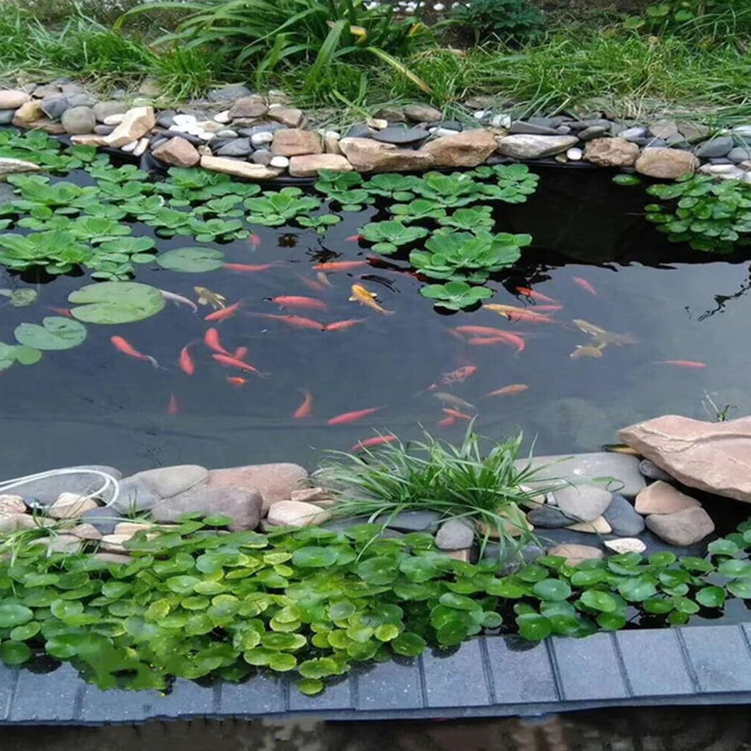 Robuste Teichfolie, 9 x 9 m, flexibel, undurchlässig, für Koi- und Fischteiche, langlebig und leicht zu schneiden, ideal für große Teiche