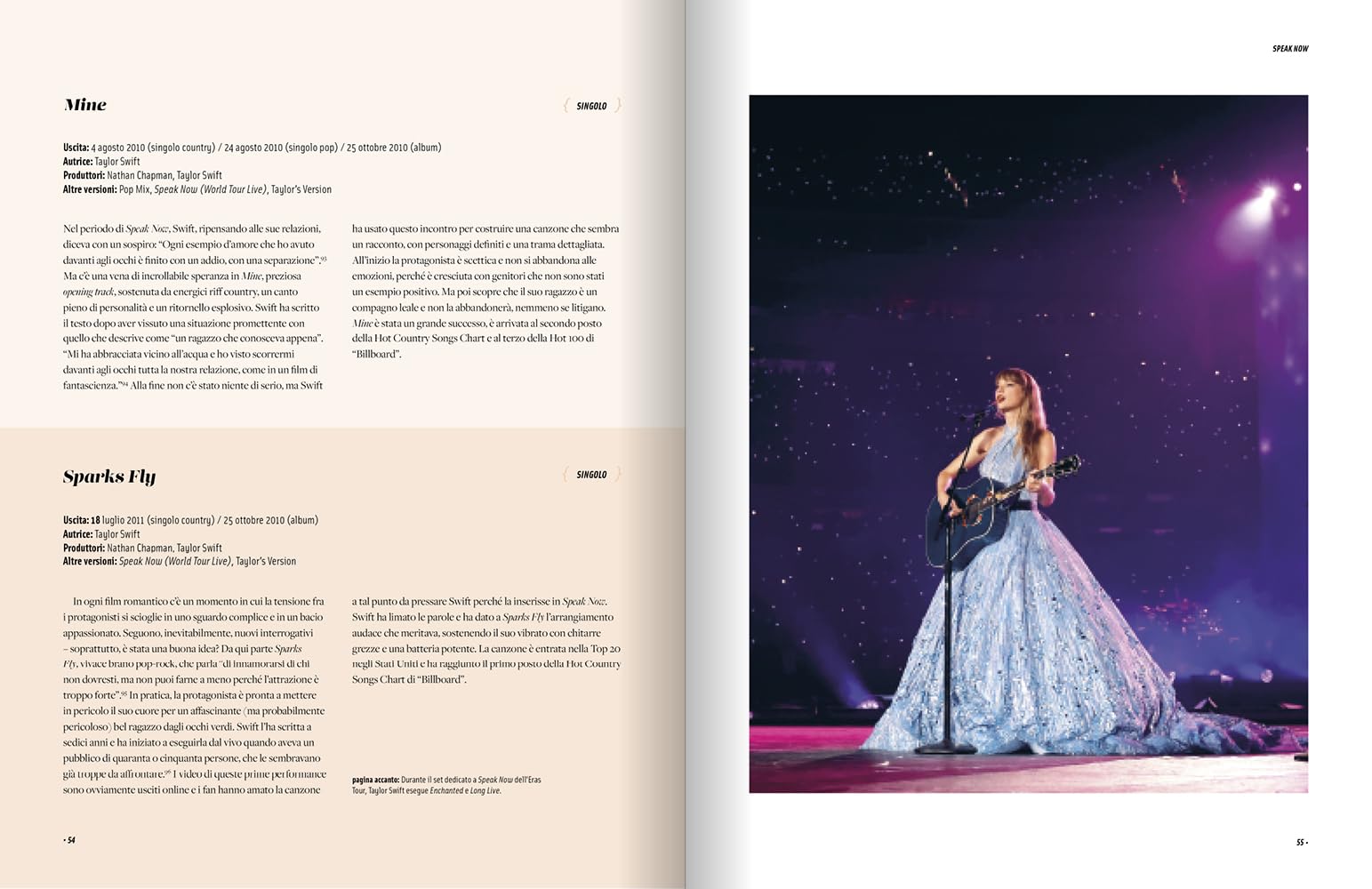 Taylor Swift. Le storie delle canzoni