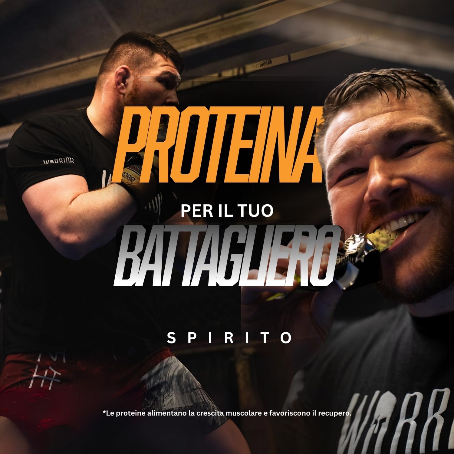 Warrior Crunch Barrette Proteiche – Proteine Alte, Zuccheri e Carboidrati Bassi – Snack Energetico per Palestra e Recupero Muscolare (Caramello salato)