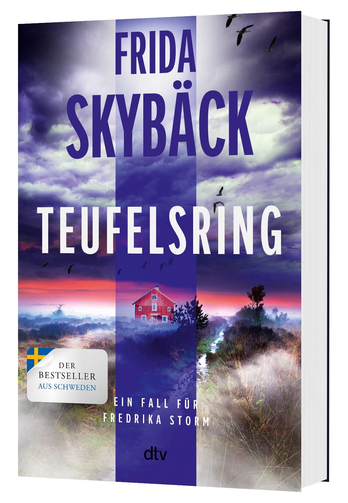 Teufelsring: Ein Fall für Fredrika Storm | Spannender Scandi-Crime: »Frida Skybäck wird immer besser. ›Teufelsring‹ ist ein sehr kluger ... Edvardsson (Fredrika Storm-Reihe, Band 4)