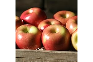 Fuji Apples - Organic Bag of Sweet and Refreshing Delicacies