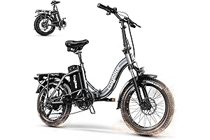 Best Choice Dalwi 1000W Electric Bike
