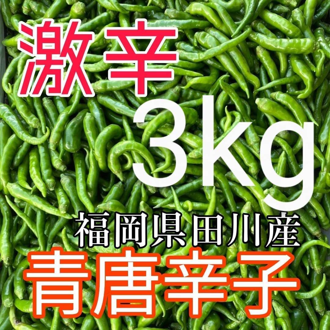 ☀激辛青唐辛子 サンクス限定販売品　5kg ☀激辛青唐辛子 サンクス限定販売品 5kg めちゃ辛い！思わず