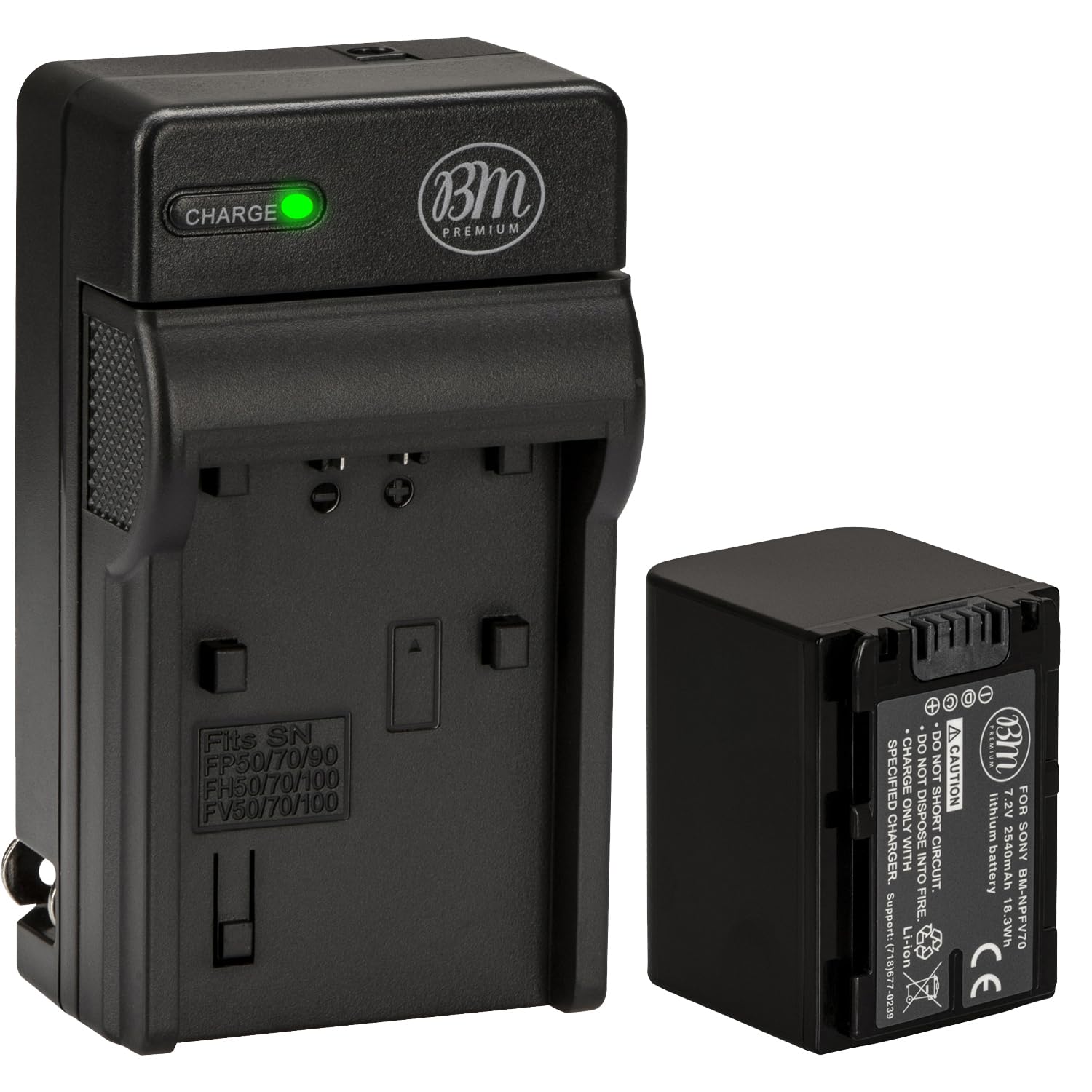 Amazon.com : BM NP-FV70 Battery and Charger for Sony FDR-AX700