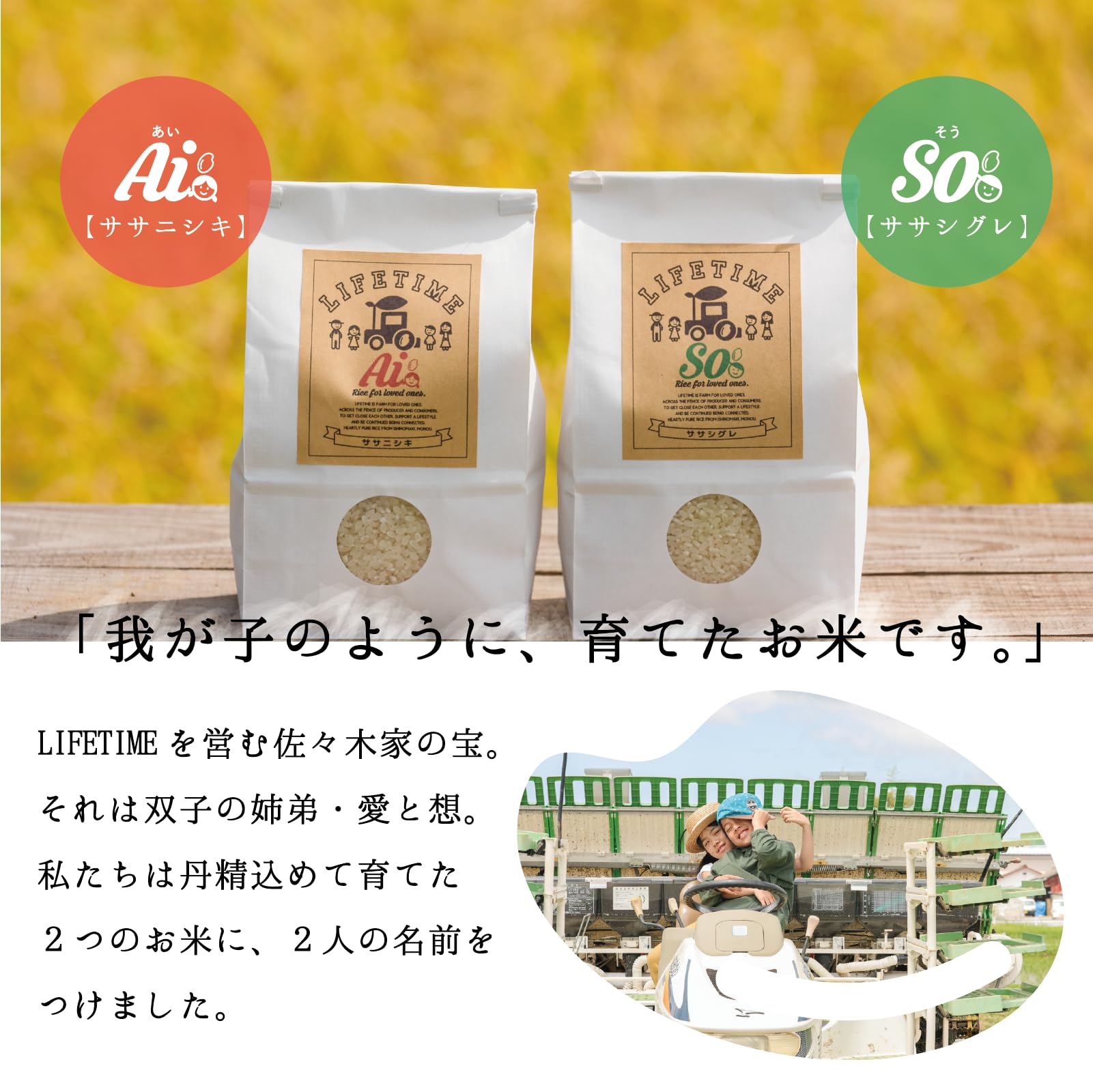 Amazon.co.jp: ササニシキ 宮城県産 白米 10kg 令和7年産 農家直送 単