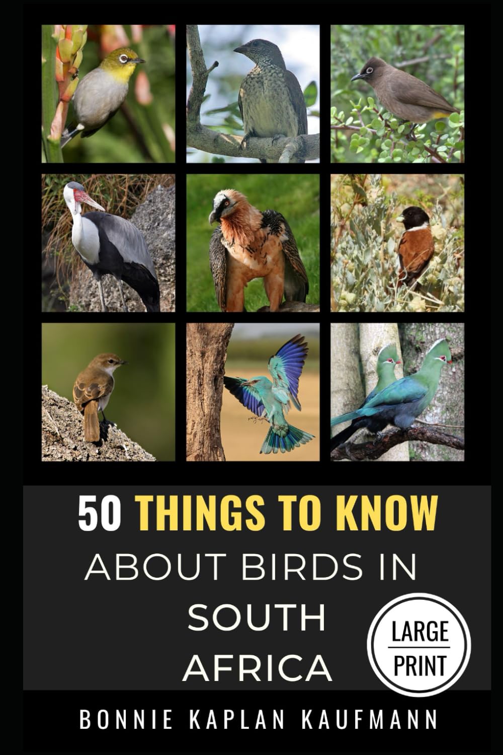 50 Things to Know About Birds in South Africa Large Print: Beginners Guide to Birding in South Africa