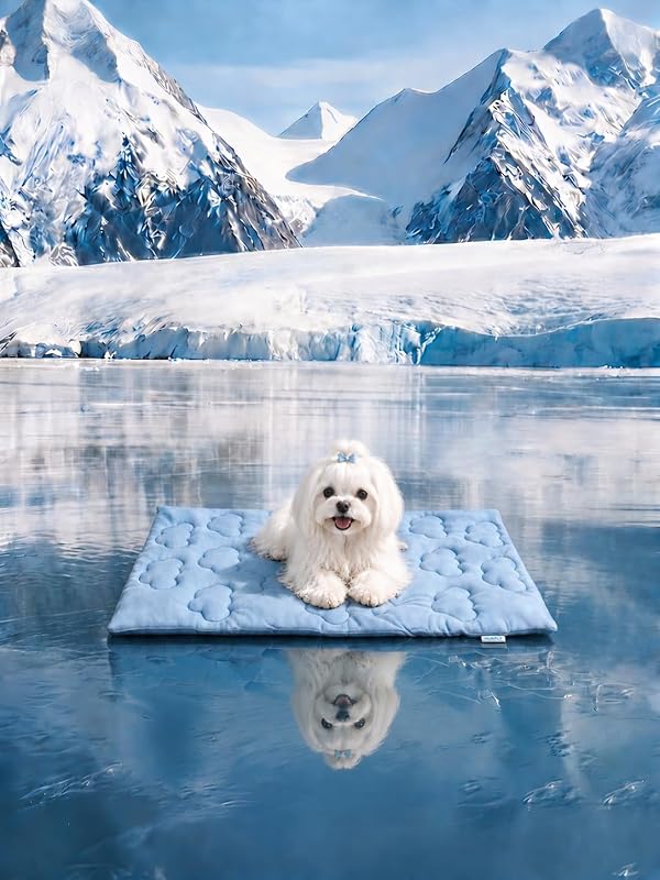 Tapete refrescante para cães e gatos em veludo, Huafly, tamanho S 45,72 x 60,96 x 2,03 cm