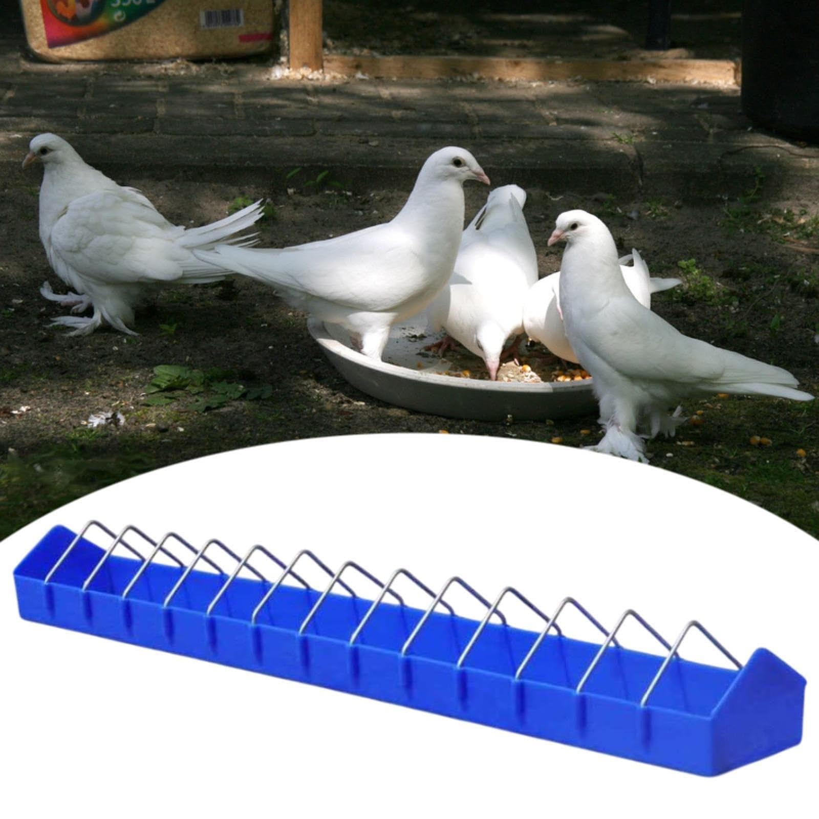 Mangiatoia per Piccioni, Mangiatoia di Grande capacità, Robusta Mangiatoia per Pollame, Contenitore per Cibo per Casette per Uccelli, Tacchini E, 80 Cm