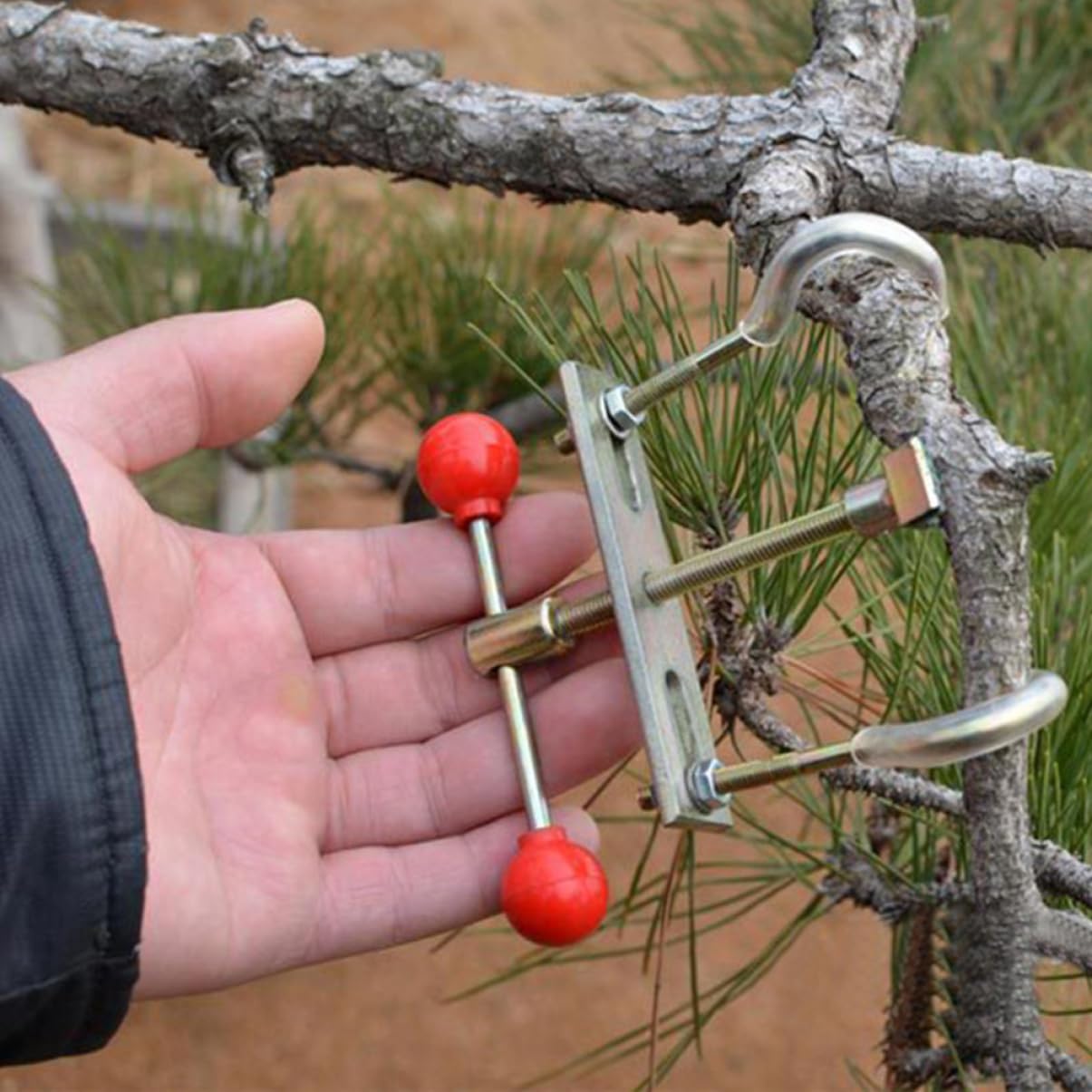 BESPORTBLE 3pièces Outil De Bending De Branches pour Bonsai Outil De Jardinage Professionnel pour Ajustement Et Modulation des Branches Matériau avec Bouton Sphérique pour Éviter Les