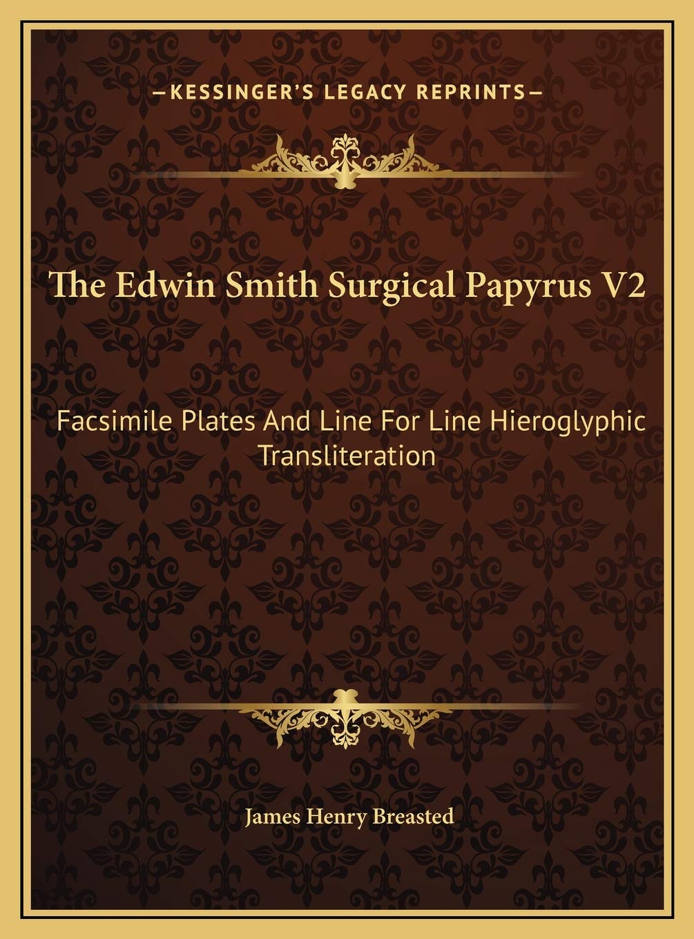 The Edwin Smith Surgical Papyrus V2: Facsimile Plates And Line For Line Hieroglyphic Transliteration