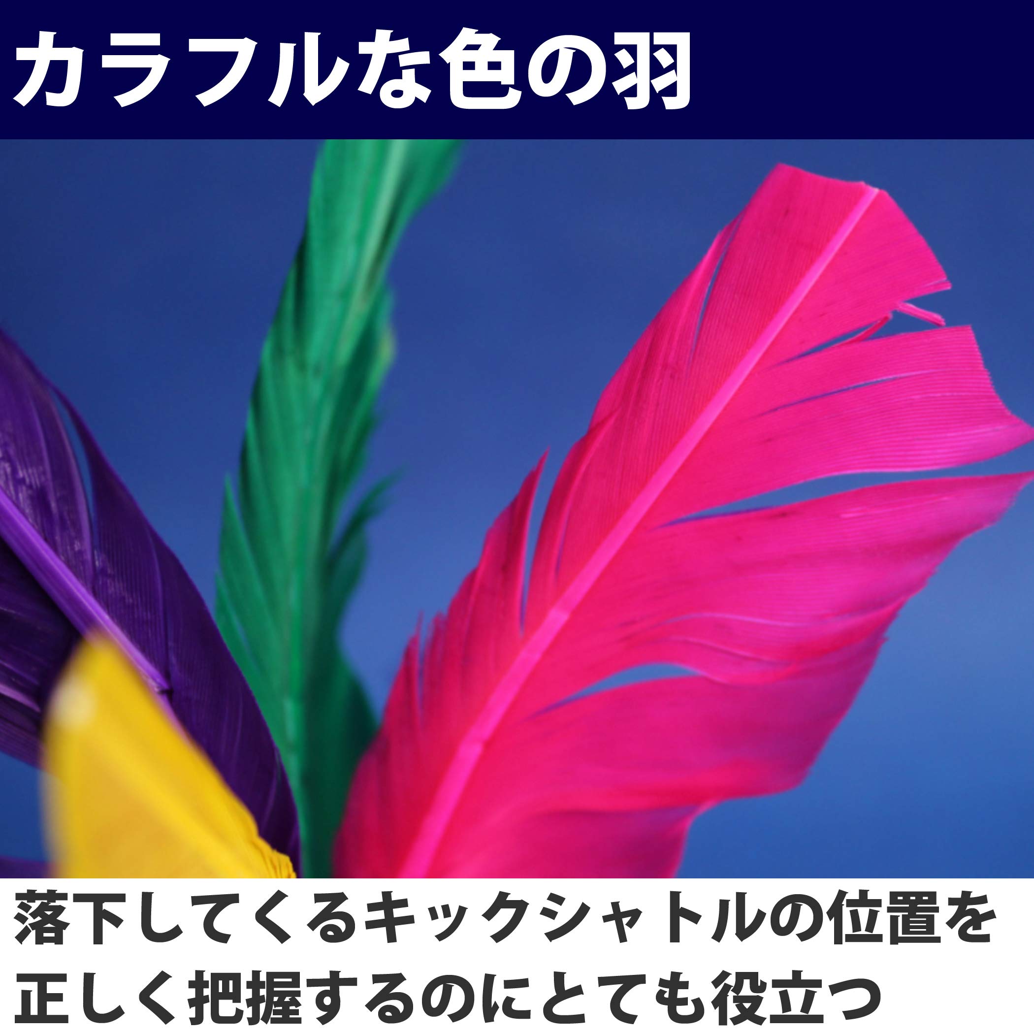 Amazon.co.jp: Felimoa キックシャトル ジャンボシャトル スポーツ用品 