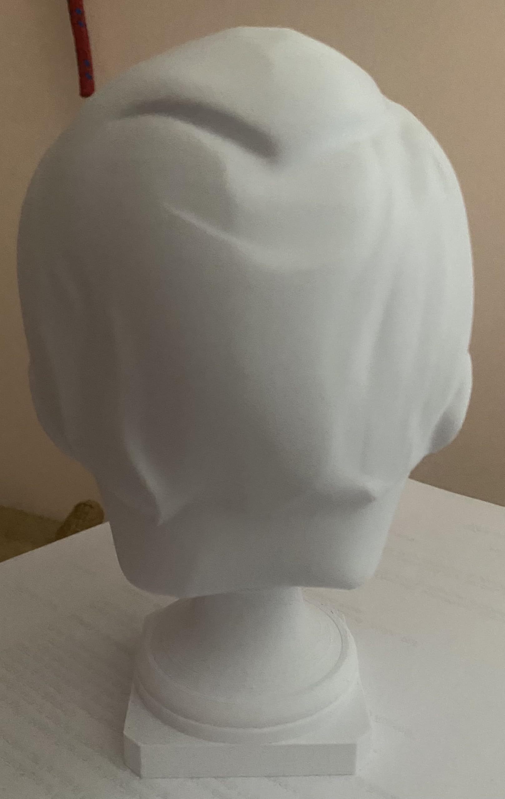 Busto 3D Personalizzato in Materiale Atossico, Stampa 3D di Persone e Animali, 20 x 20 x 35 cm, Bianco
