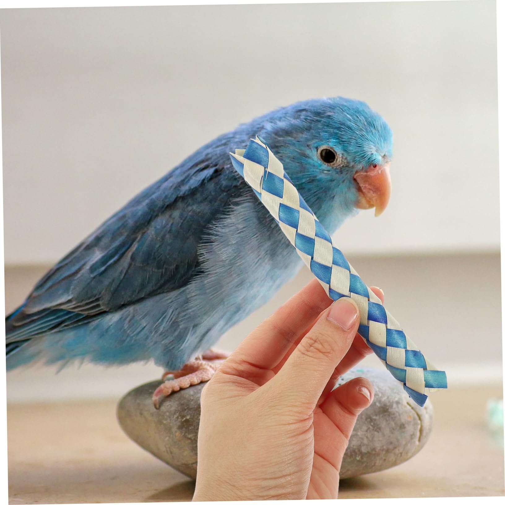 BESPORTBLE Jouets pour Oiseaux Pièces Hachoir À Nourriture pour Oiseaux Jouet À Mâcher en Bambou