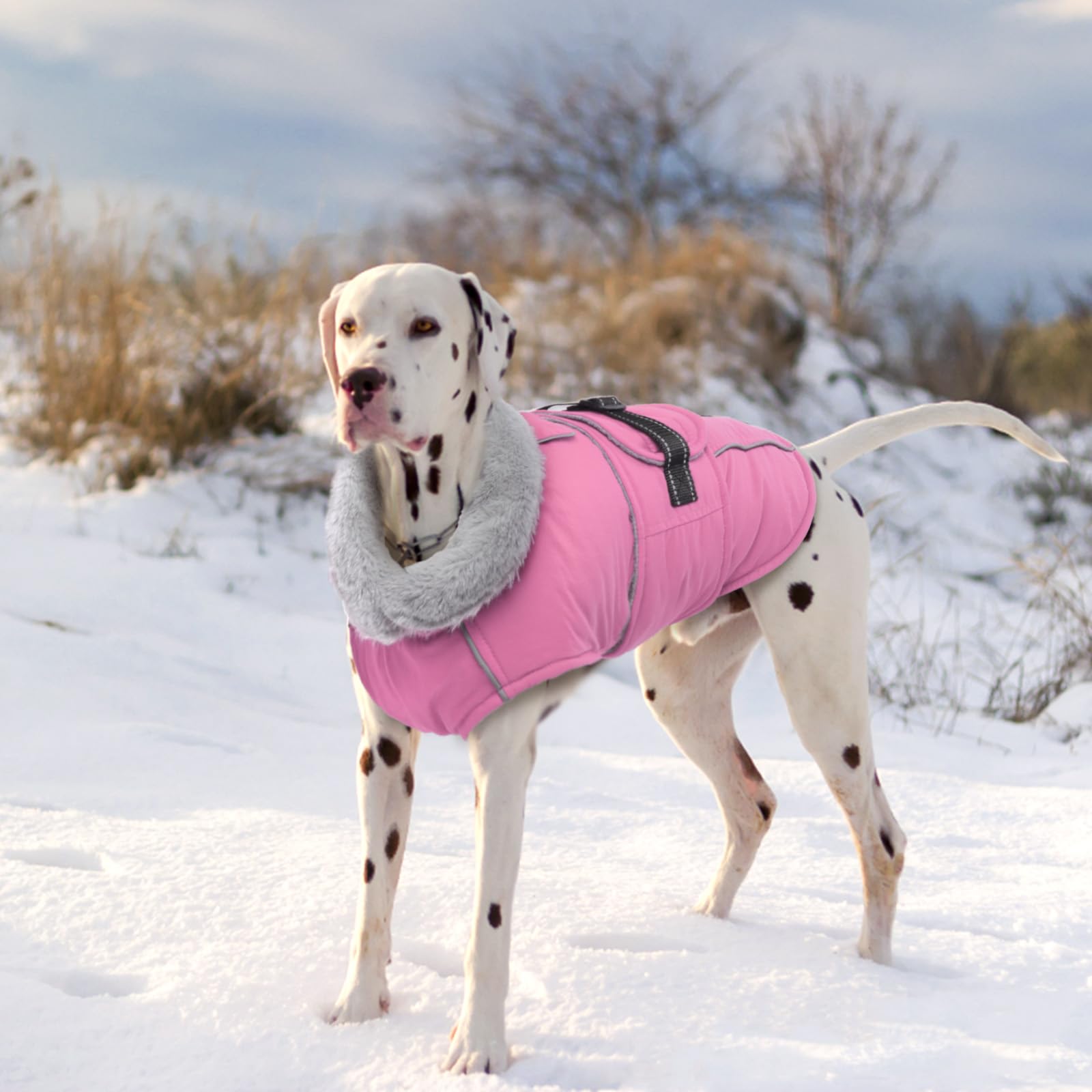 Lelepet Abrigo cálido para perro, chaleco de forro polar reflectante, impermeable, resistente al viento, abrigo de invierno para perro, abrigo para clima frío con hebilla ajustable, forro polar, traje