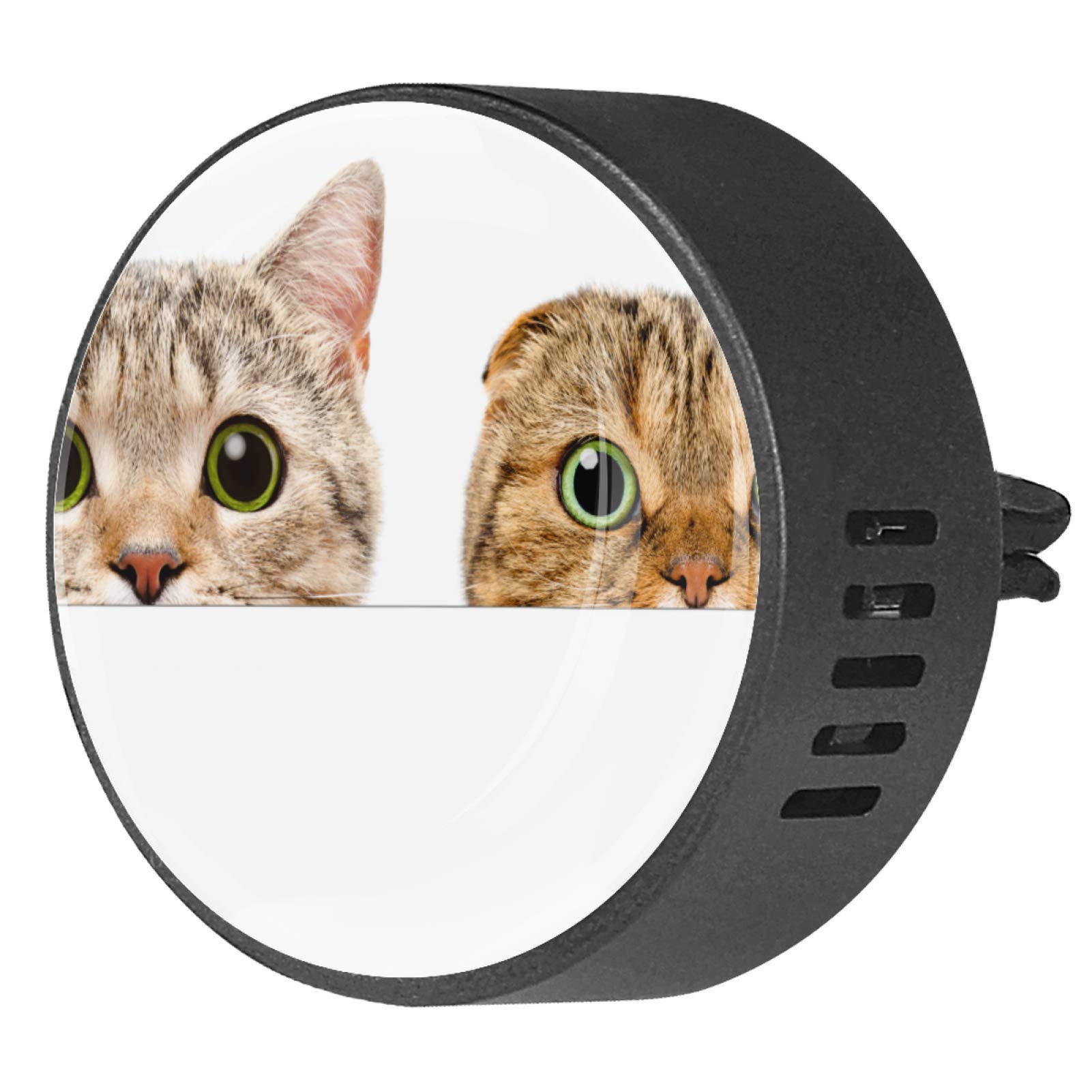 aromatherapy diffuser and cats