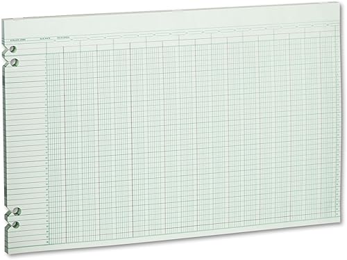 Wilson Jones Hojas de contabilidad G5030, 30 columnas, 11 x 17, verde (paquete de 100 hojas sueltas)