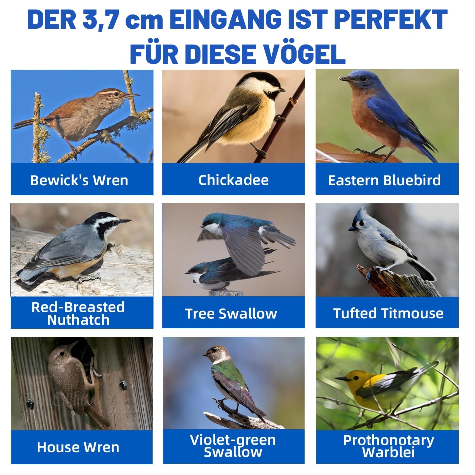 Dekoratives Vogelhaus aus Holz, natürliches Kiefernholz, Design mit doppeltem Eingang