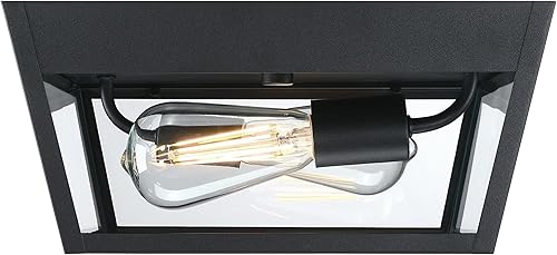 Miniatura 3 de Westinghouse 6121900 Peterson - Lámpara de techo transitoria con dos luces, acabado negro texturizado, cristal transparente