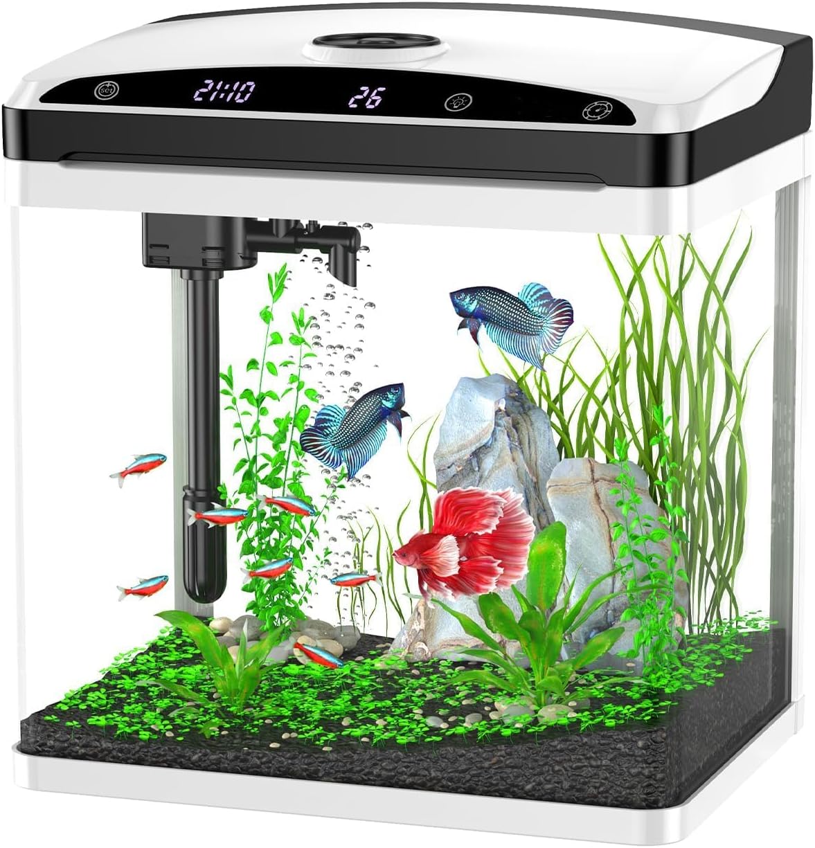 Gallon Fish Tank, Small Smart Aquarium with Liberia Ubuy
