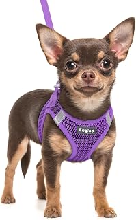 Eagloo Small Dog Harness and Leash Set, Step in Extra Small Puppy Pet Vest | Light, Soft, Breathable Air Mesh, Easy on and off with Hook & Loop, Reflective for Safe Walking, Purple, XXS