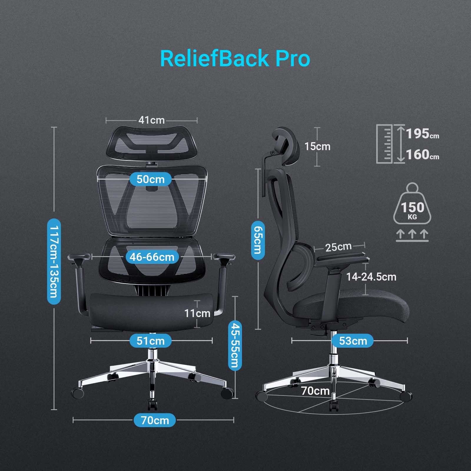 Siège Réglable Support Lombaire Chaise Bureau Ergonomique HOLLUDLE - Support Lombaire 3D Et Accoudoirs Réglables Support Lombaire 3d Réglable