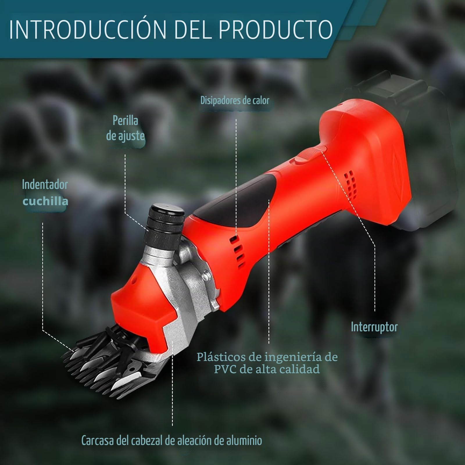 Esquiladora Inalámbrica Eléctrica 550W – Cortadora Profesional de Lana 21V con 2×1300mAh Baterías, Ajustable en 6 Velocidades, Cuchillas de Acero 9/13 Dientes para Ovejas, Cabras y Ganado 13-teeth