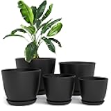 Utopia Home - Plant Pots Indoor with Drainage - 7/6.6/6/5.3/4.8 Inches Flower Pots for Indoor Planter - 5 Pack Plastic Planters - Ideal for Stocking Stuffers or Home Christmas Decorations - Black