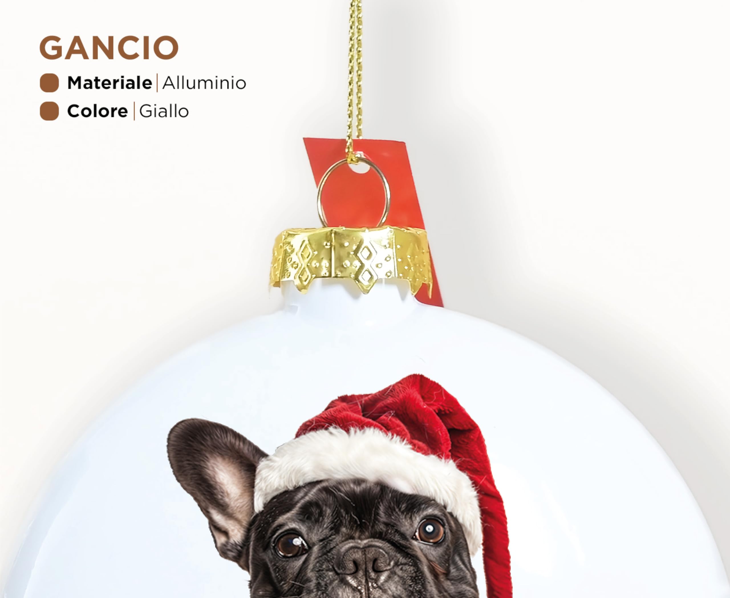 Razza Di Bulldog Francese in Cartone Animato E Contorno Illustrazione