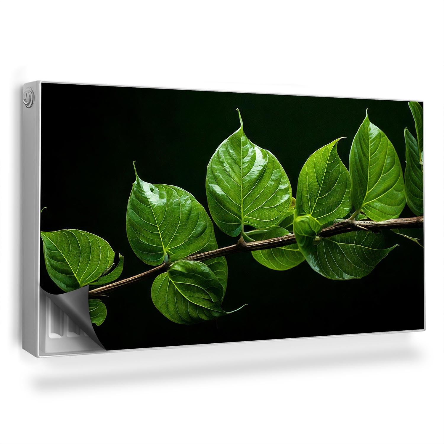 Cache radiateur magnétique 110x60 cm au motif de rameau vert