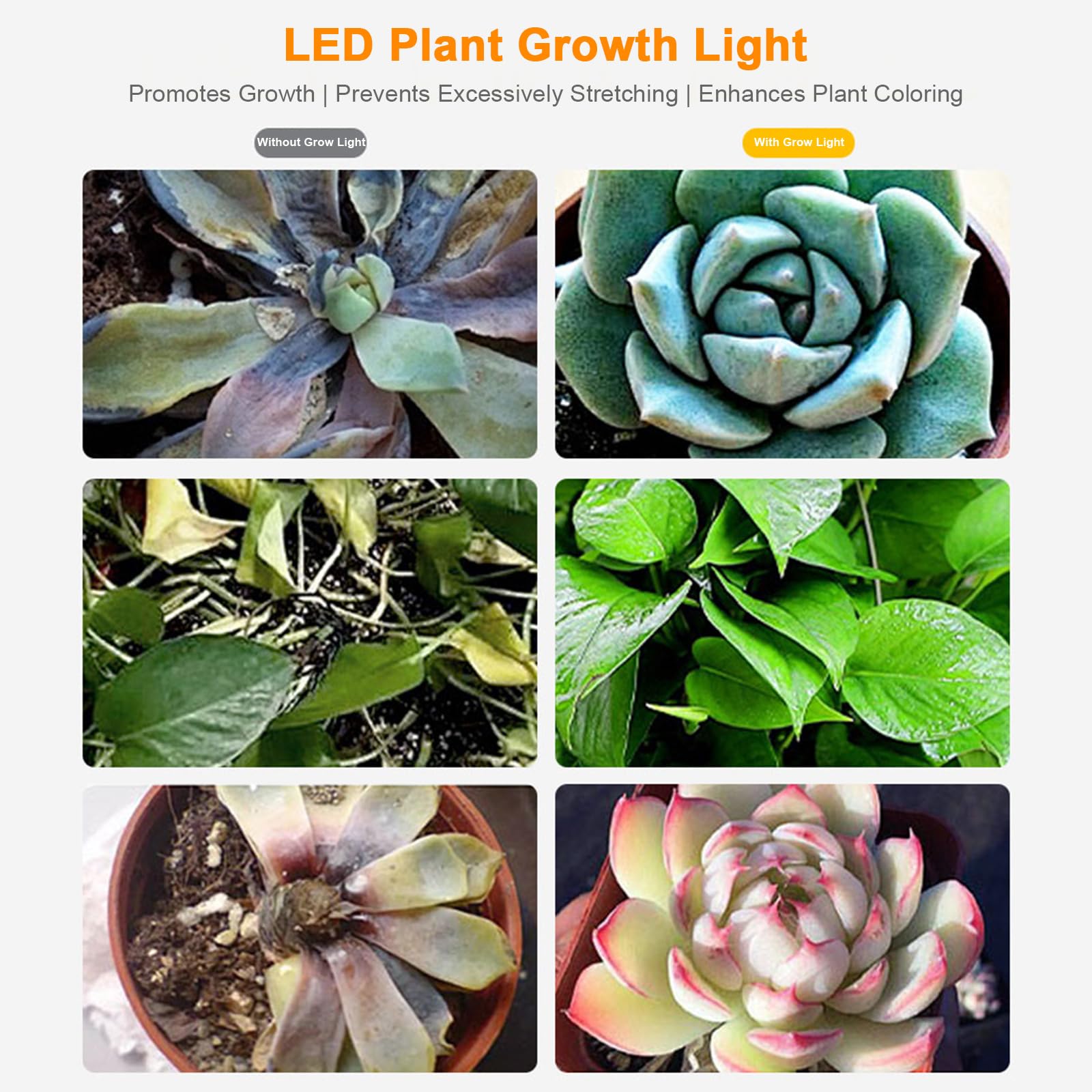 Marhynchus LED Grow Light Strips, Prend En Charge Le Synchronisation