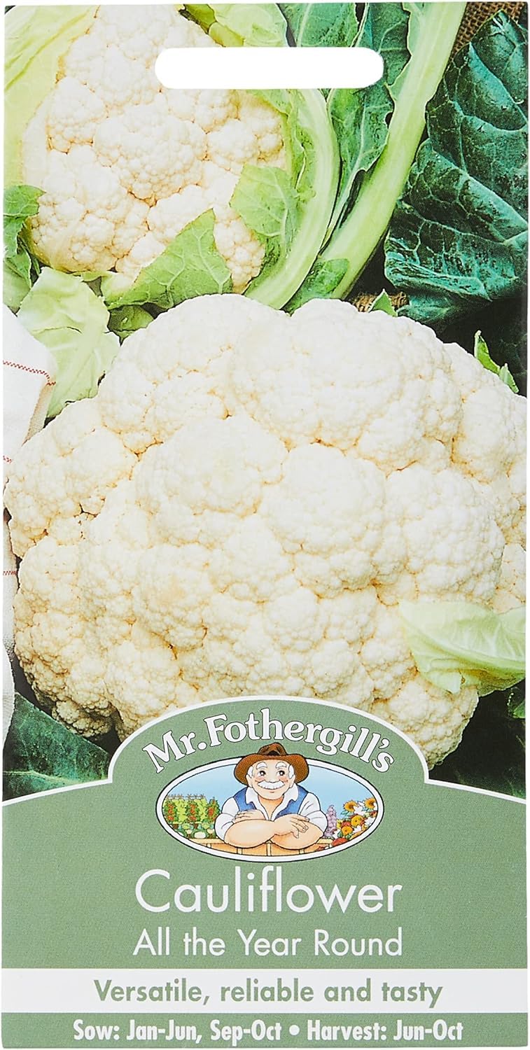 Seeds Ltd 10401 Vegetable Seeds, Cauliflower All The Year Round, White