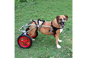 Rear Support Wheelchair 2.0: Ultimate Mobility Solution for Canine Companions