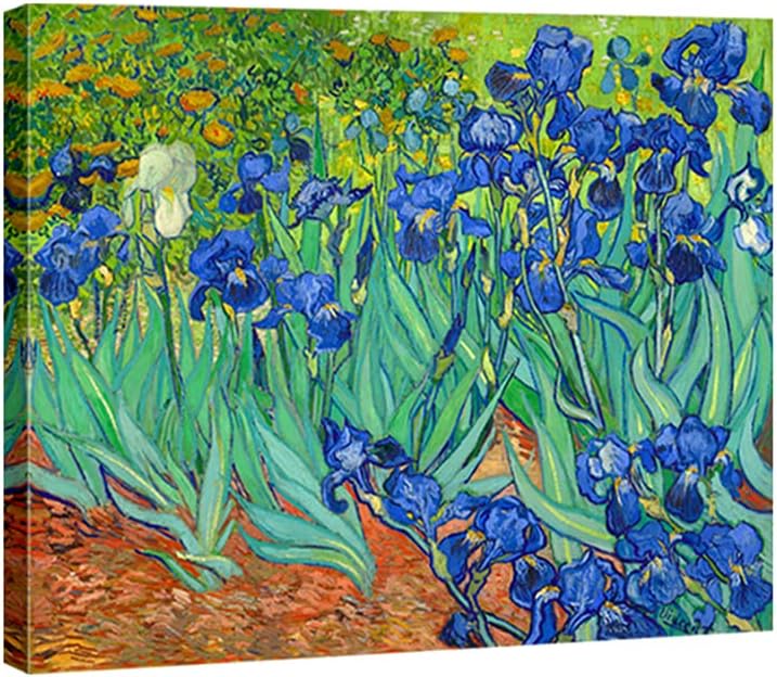 Wieco Art Irises Modern Stretched and Framed Floral Giclee Canvas Print By Van Gogh Famous Flowers Oil Paintings Reproduction Artwork Pictures on Canvas Wall Art for Bedroom Home Decorations