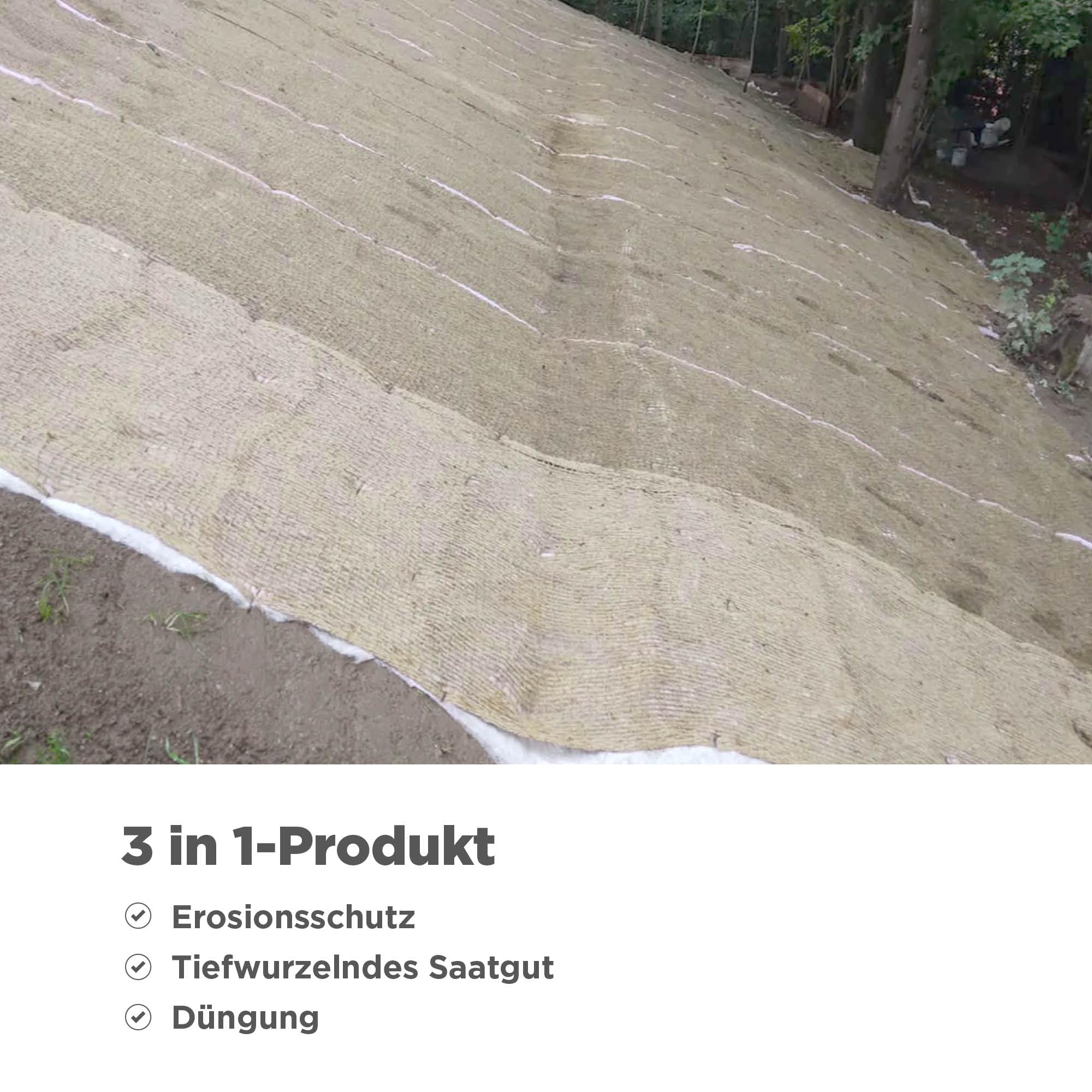 knstlicher drachenbaum Knstlicher Drachenbaum - Nico | 150 cm