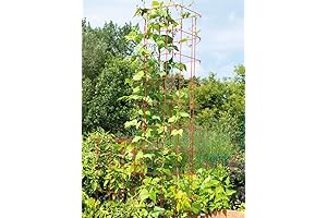 Gardeners Supply Company Large Bean Tower Plant Support