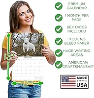 Vista 710 de Razas de Perros 2017