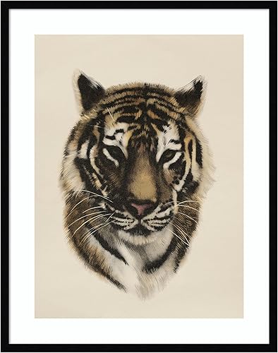Amanti Art Framed Wall Art Print 33x26 Antique Tiger Portrait I by Victoria Barnes, Animals Wall Art, Vintage Decor, Large Poster Painting Artwork