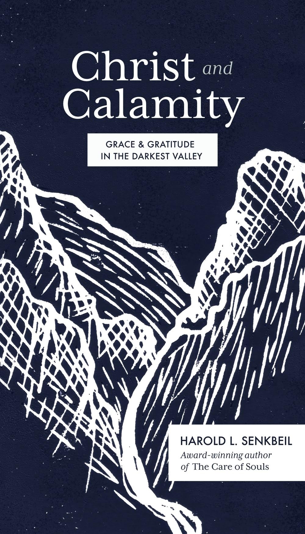 Christ and Calamity by Harold L. Senkbeil HARDBACK 9781683594451